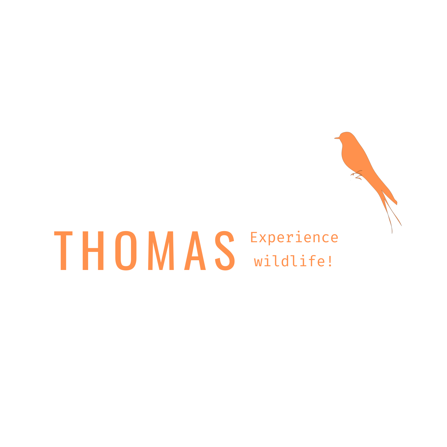 Wildlife photography and prints | Wildfocus Thomas