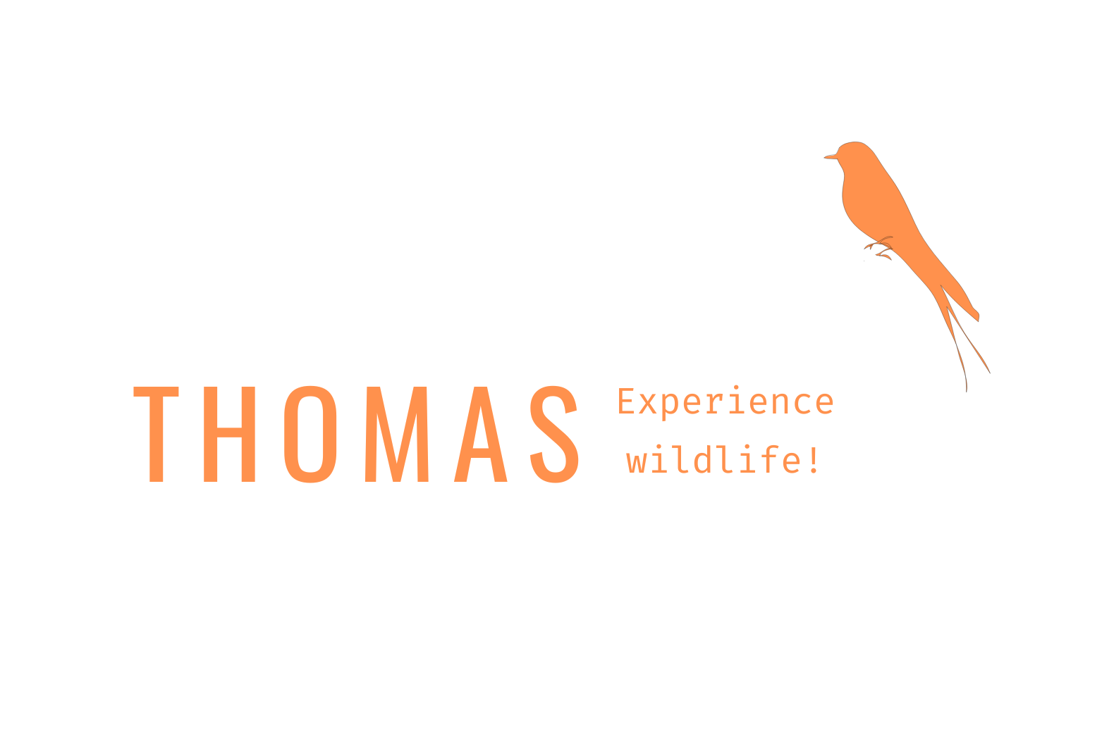 Wildfocus Fotoreizen
