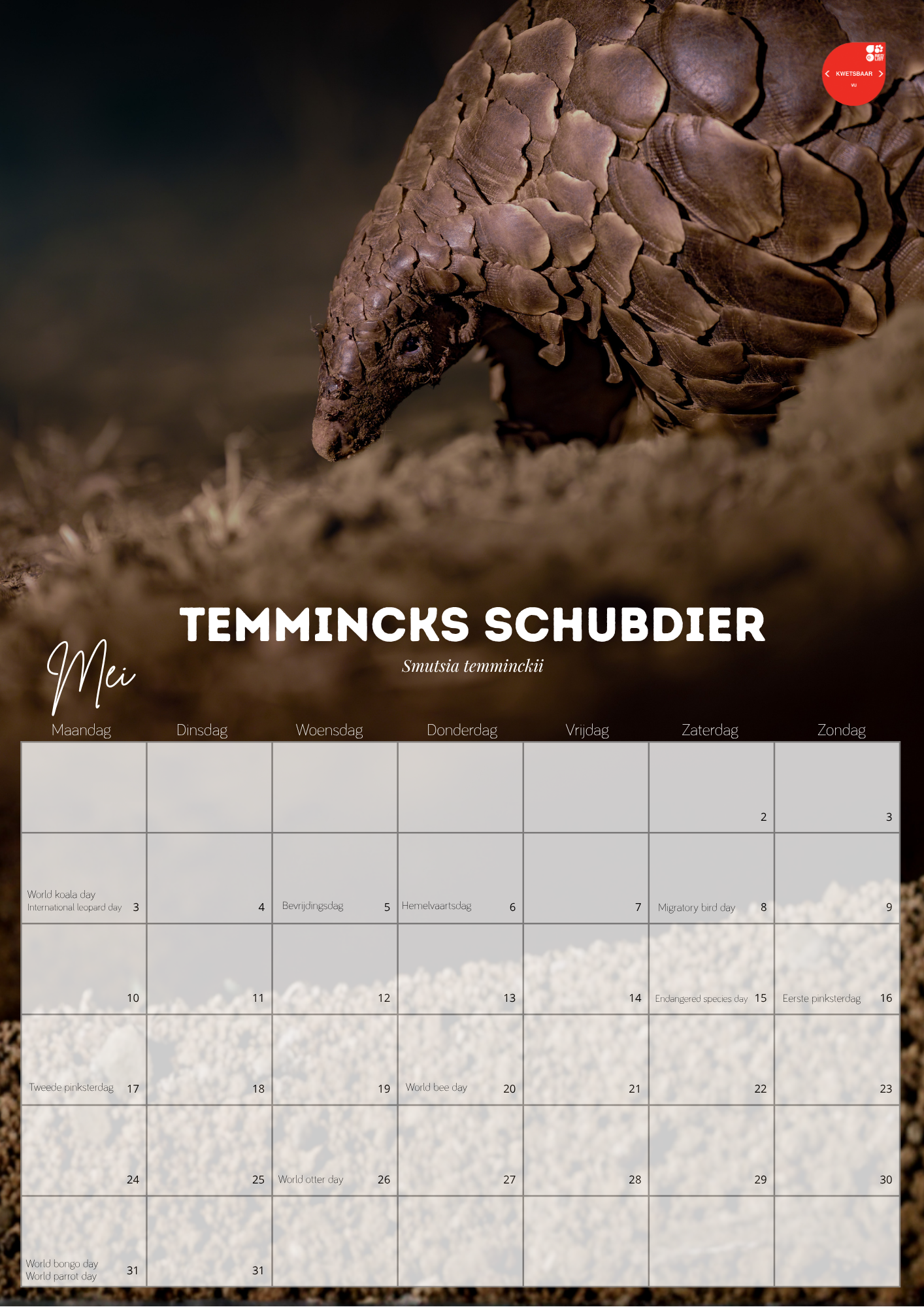 Wildlife kalender 2027 - Afbeelding 3