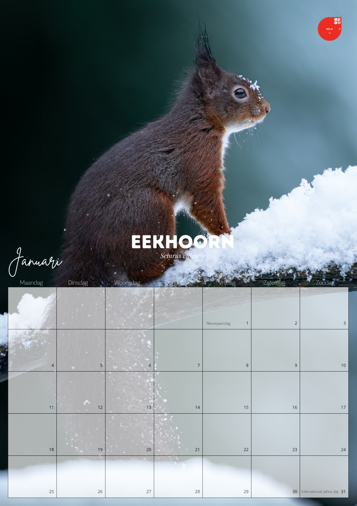 Wildlife kalender 2027 - Afbeelding 2